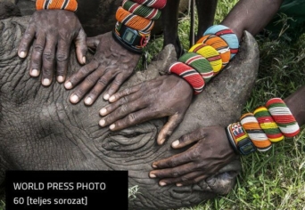 WORLD PRESS PHOTO 60