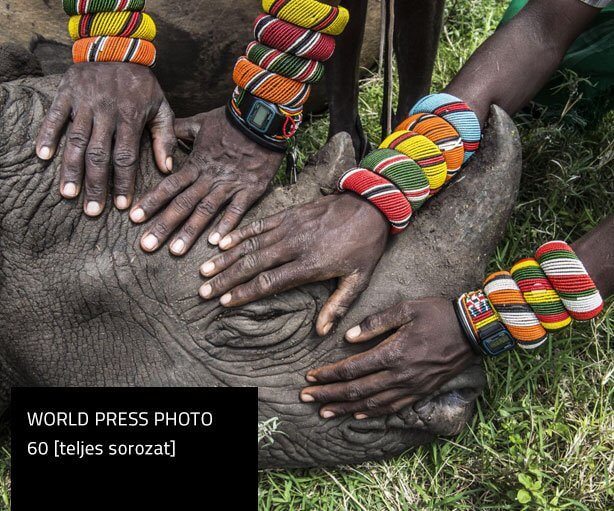 WORLD PRESS PHOTO 60