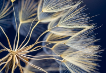 TUDOM – VÉLEM – KÉPZELEM