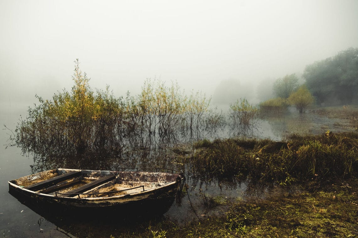 A FOLYÓ, VAGY A PARTJA