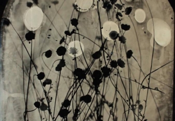 NEM REGÉNYÁLDOZAT; CSAK REMÉNY, PÁNIKVERZIÓ