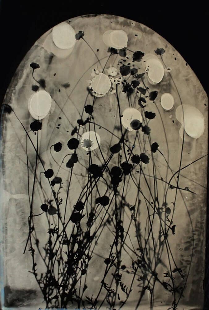 NEM REGÉNYÁLDOZAT; CSAK REMÉNY, PÁNIKVERZIÓ