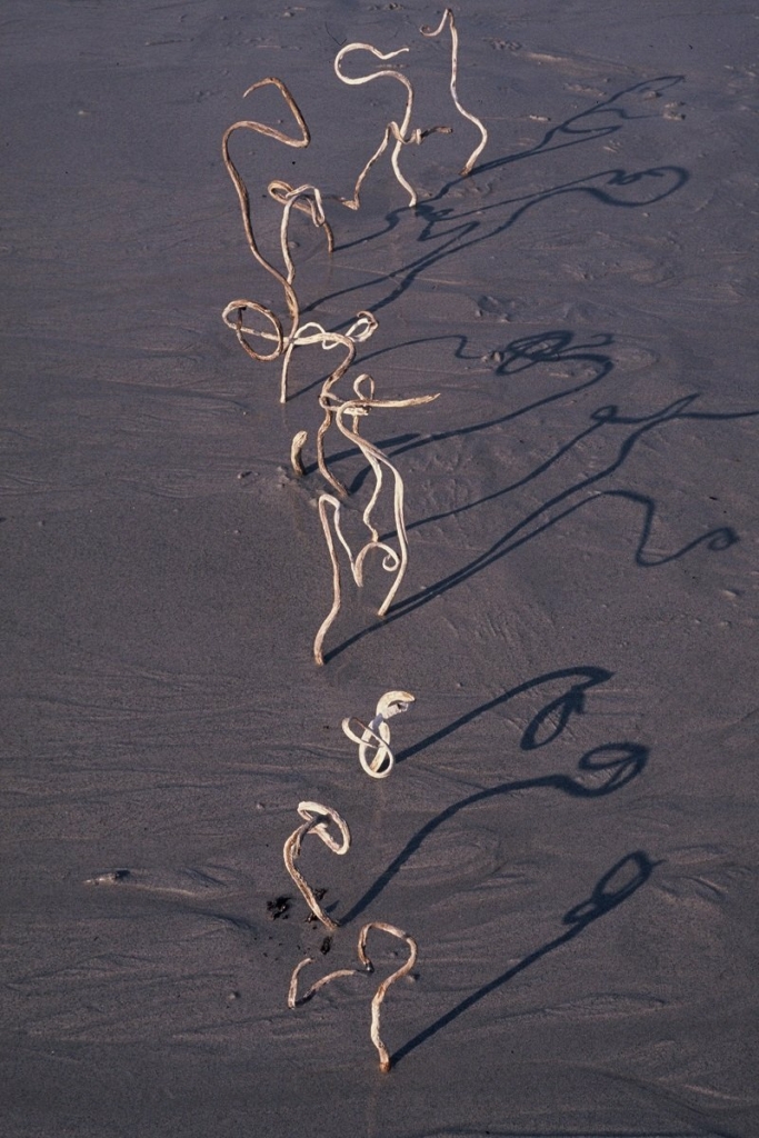 Jen-Louis Potier, flickr.com 