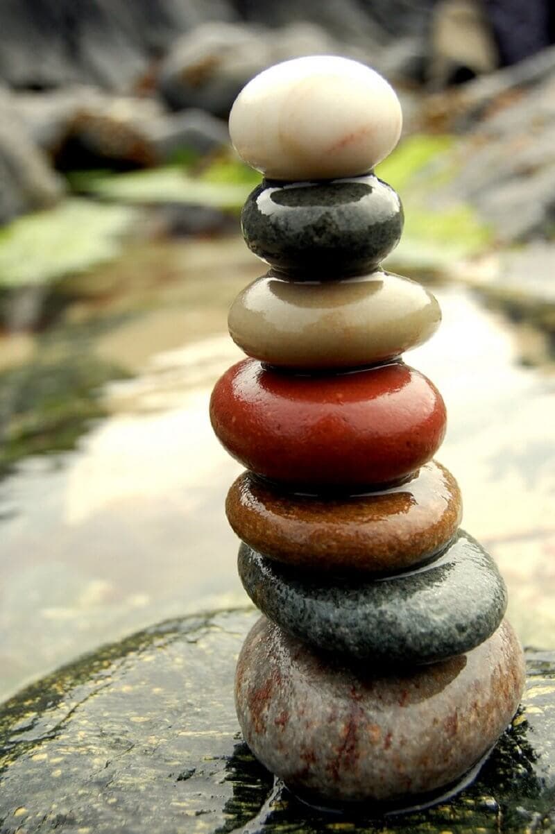 A NÖVEKEDÉS GYÖKEREI ÉS TÖRTÉNETE