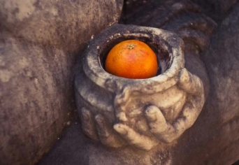 CSONTOK ÉS NARANCSOK