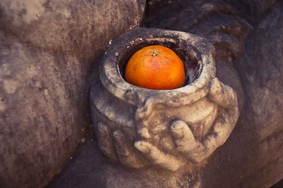 CSONTOK ÉS NARANCSOK