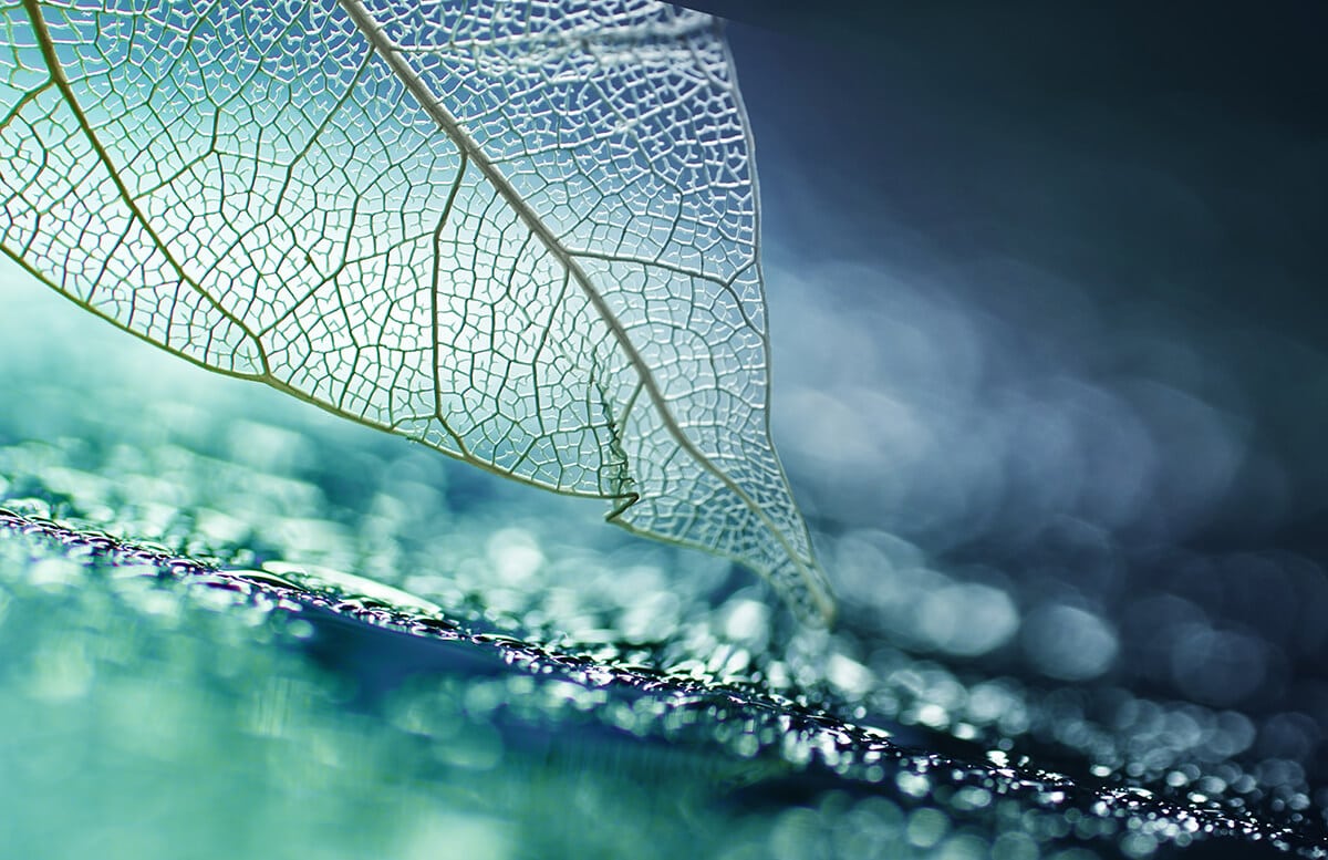 SÉTA AZ EGYKORI MÁRIA STRANDFÜRDŐ MENTÉN RÁKOSCSABÁN