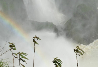 KLÍMA, KÉTELY, PROPAGANDA