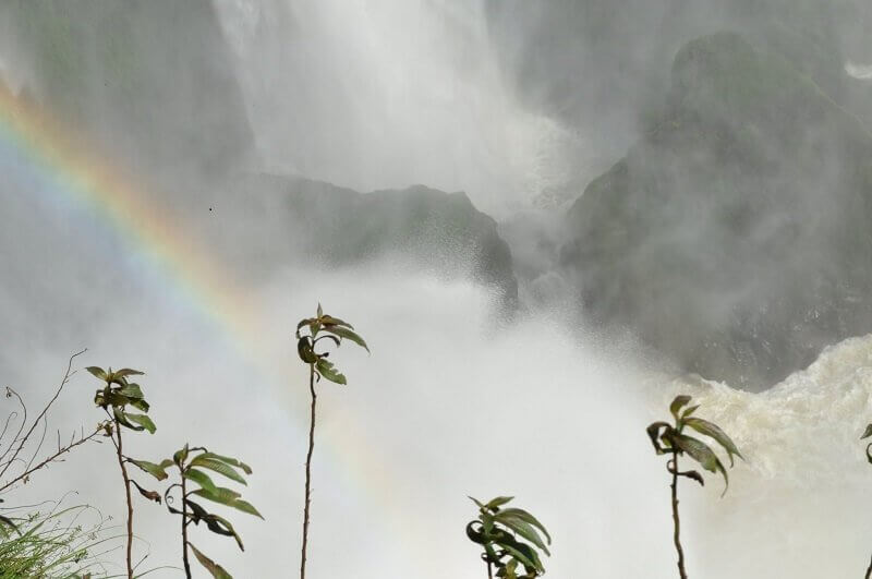 KLÍMA, KÉTELY, PROPAGANDA