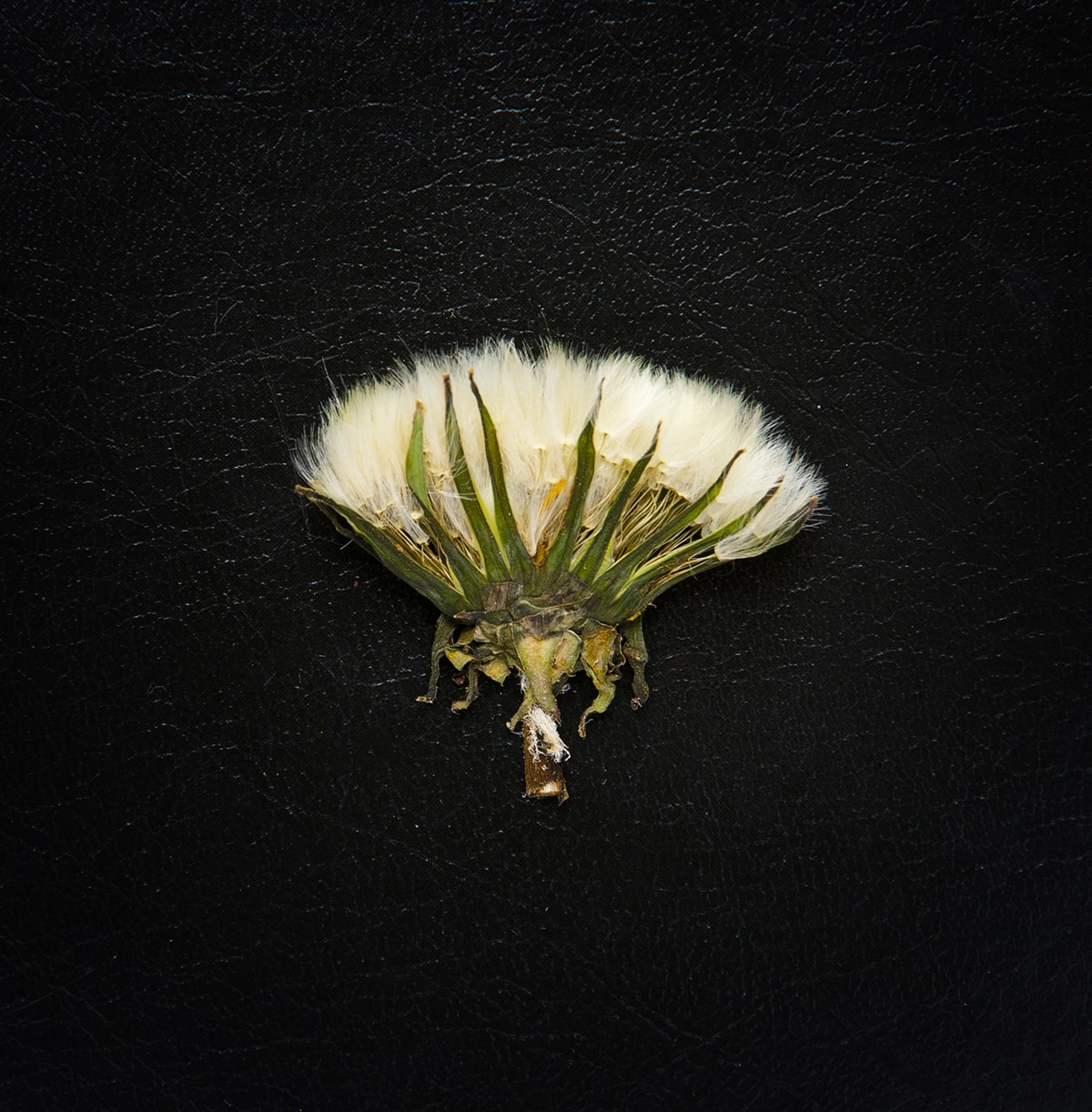 MIRE JÓ AZ ÖKOKRITIKA?