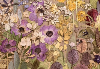 BÍRÓ ZSUZSA MOZIJA