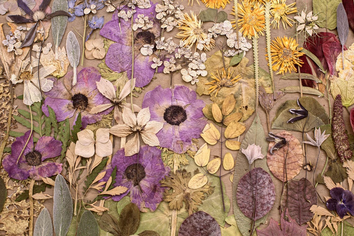 BÍRÓ ZSUZSA MOZIJA