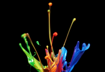 DÉLOSZI BÚVÁRKODÁS