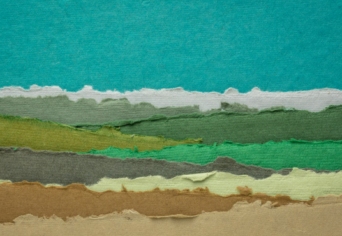 HONI ORNITOLÓGIA – NÉPLÉLEK