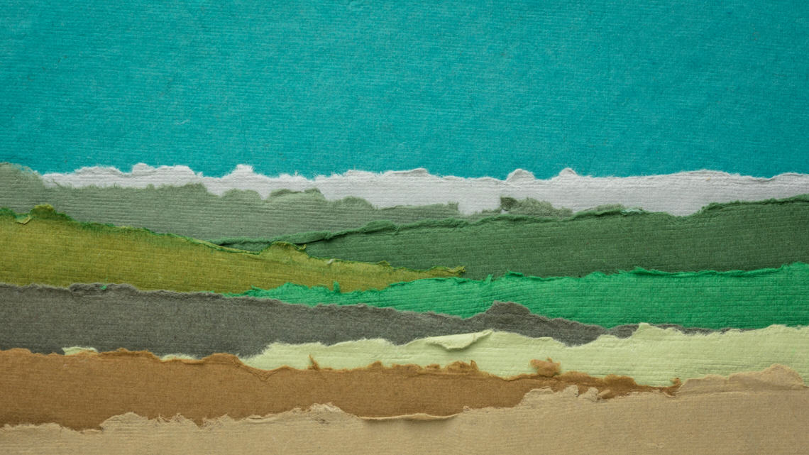 HONI ORNITOLÓGIA – NÉPLÉLEK