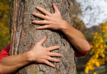 A FÖLDÉRT ÉS AZ ERDŐÉRT TETTEM