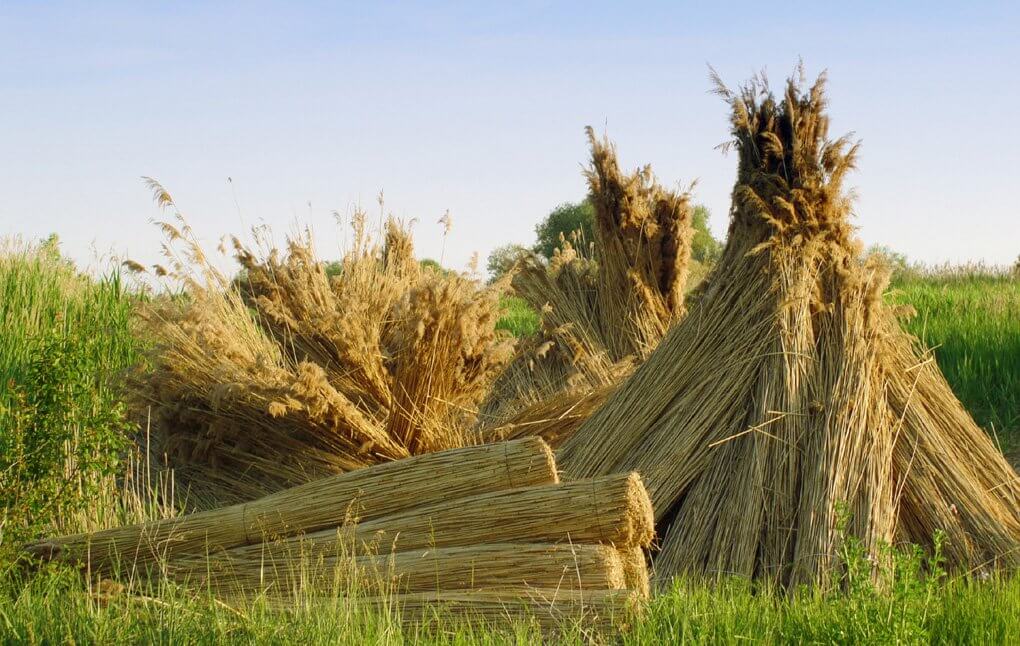 DUNASZENTBENEDEKI LEVÉL