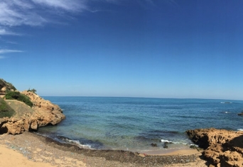 ALBERT CAMUS ÉS A TENGER