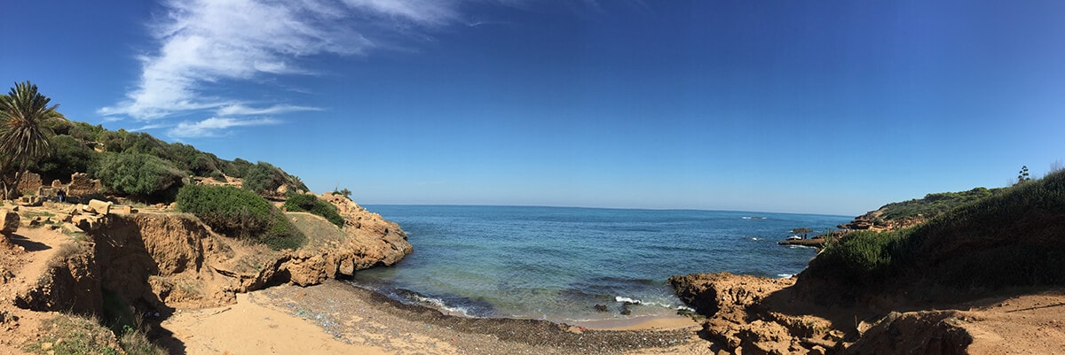 ALBERT CAMUS ÉS A TENGER