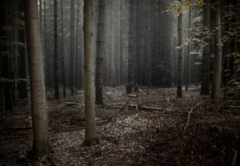 A SEMMI ELLEN HOGY KÉNE VÉDEKEZNI