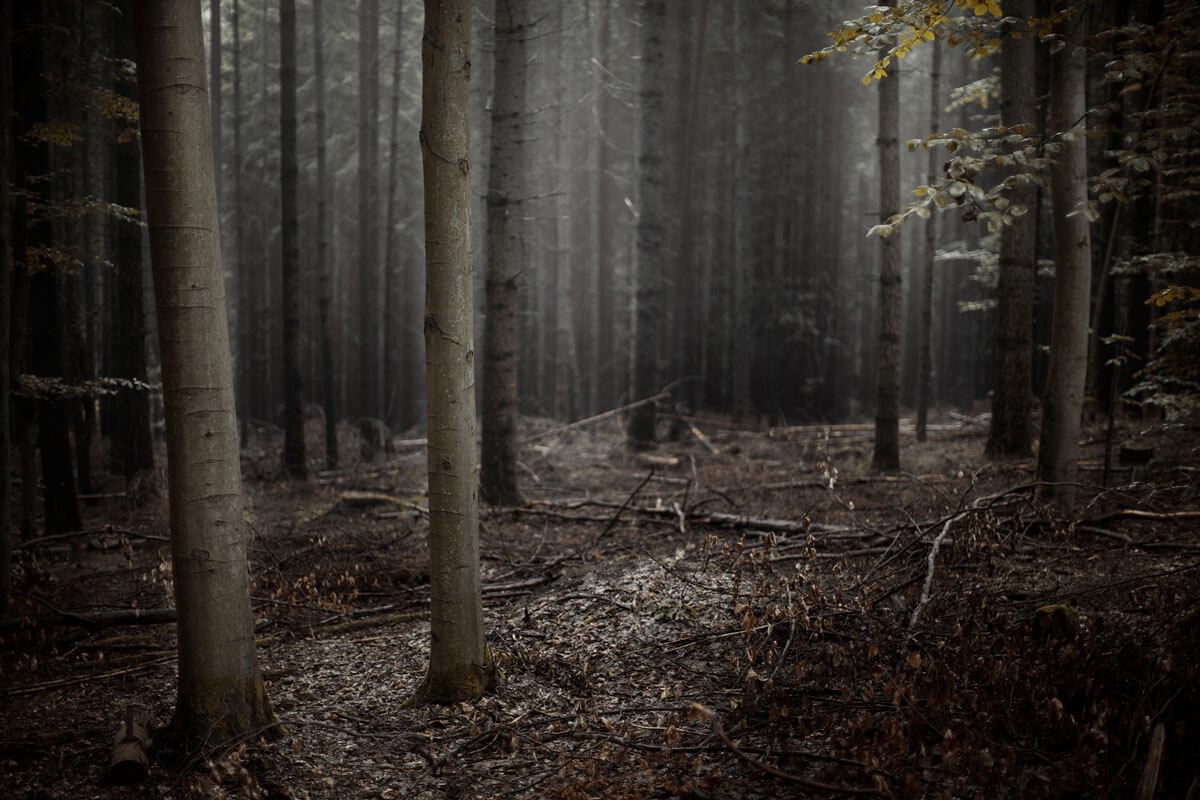 A SEMMI ELLEN HOGY KÉNE VÉDEKEZNI