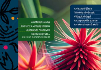 MEGJELENT A NYÁRI SZITAKÖTŐ