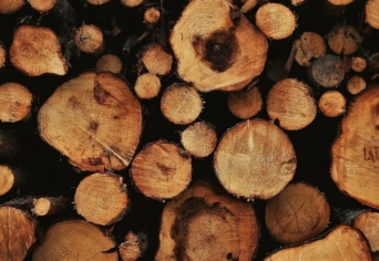 FORRÓSÁG, VALAMI LENYELHETETLEN GOMBÓC A TOROKBAN