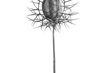 SZABADULNI A KOZMIKUS JOBBÁGYSÁGBÓL