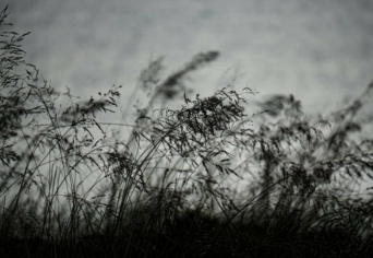 EGY STATISZTA HALDOKLÁSA