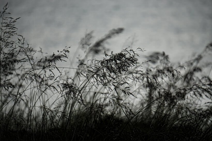 EGY STATISZTA HALDOKLÁSA