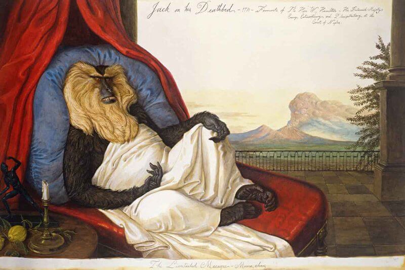 BŰN, ISTEN, EMBER, ÁLLAT, GÉP