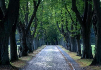 A HÁTRAMARADT RÉSZ