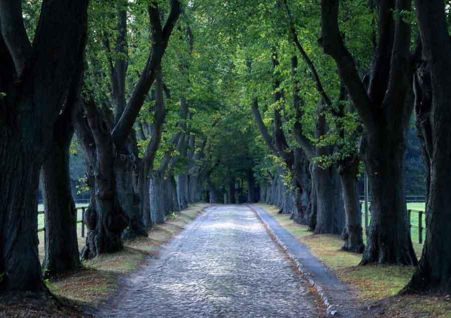 A HÁTRAMARADT RÉSZ