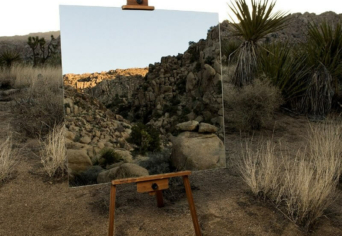 AZ ÖKOLÓGIA A TÁRSADALOMTUDOMÁNYBAN