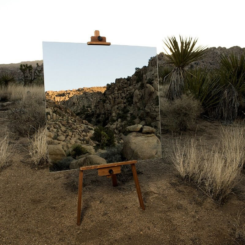 AZ ÖKOLÓGIA A TÁRSADALOMTUDOMÁNYBAN