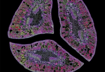 ASZKLEPEIOSZ MODERN SZENTÉLYE: ORVOSLÁS ÉS ÉLET