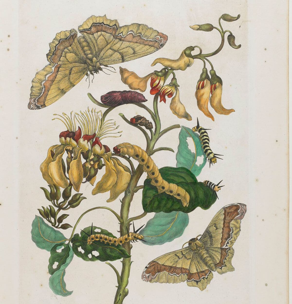 KAFKA ÁLMAIBAN OLVASVA