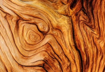 SE LÁTNI, SE HALLANI