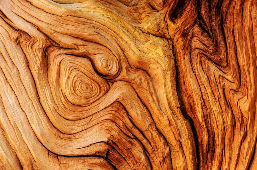 SE LÁTNI, SE HALLANI