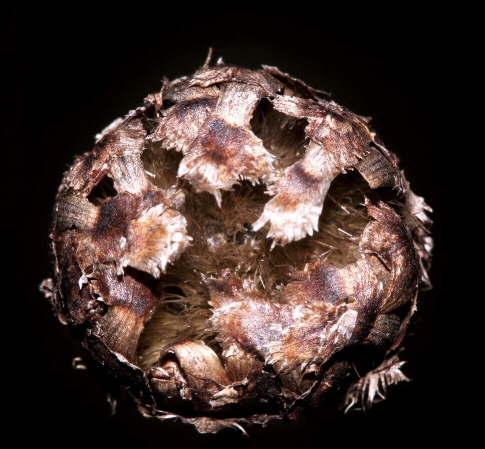  Fotoschlick, adobe.com 