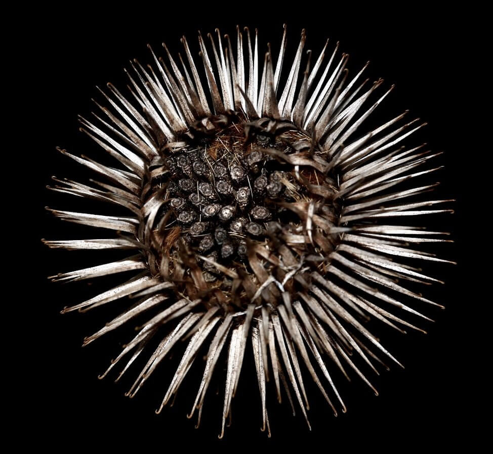 Fotoschlick, adobe.com