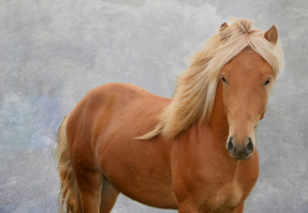 OKTÓBER VÉGI FÉRFI