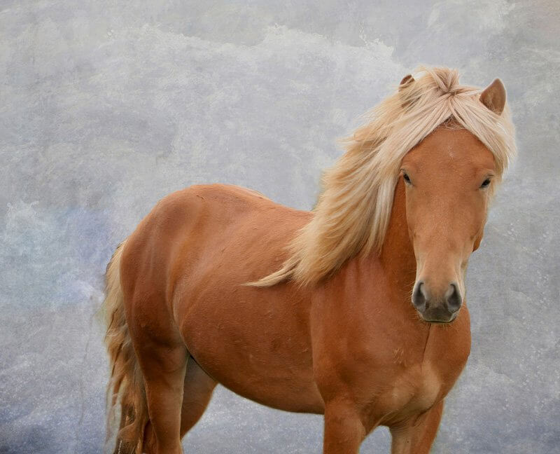 OKTÓBER VÉGI FÉRFI