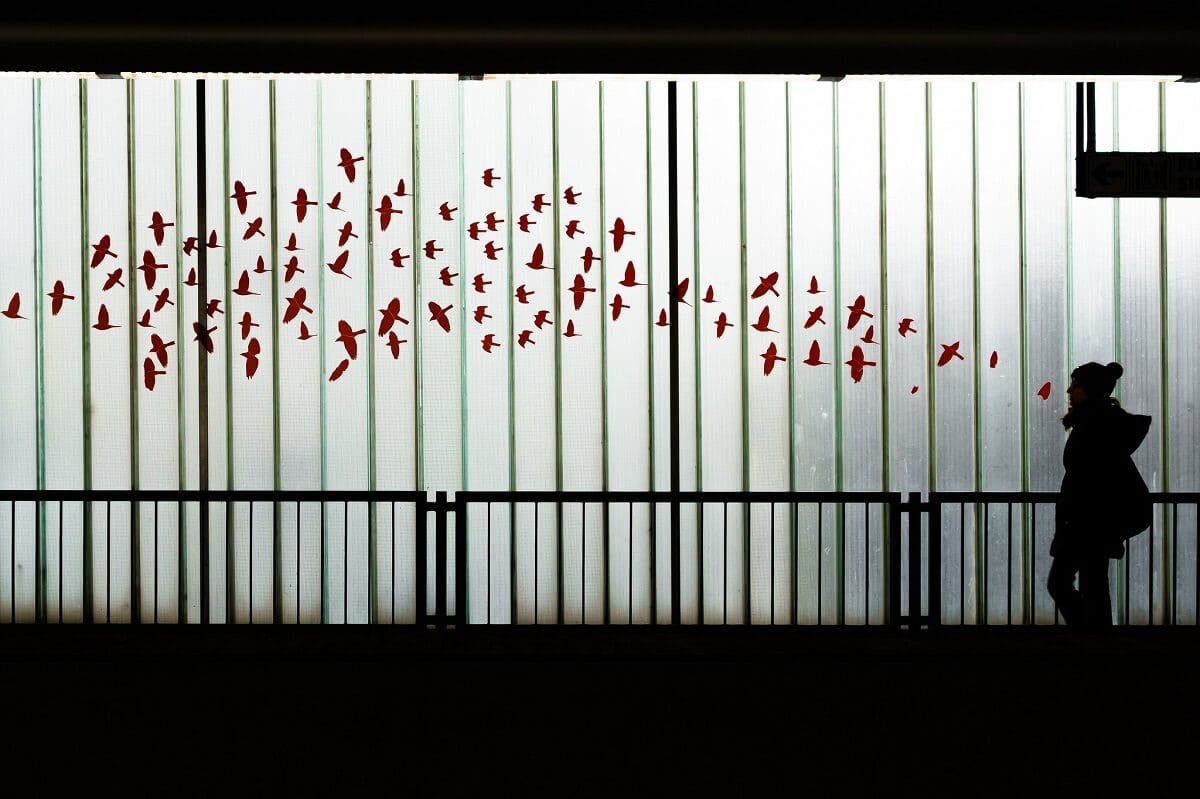 A REPÜLÉS MŰVÉSZETE