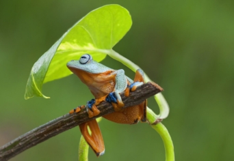 GABRIEL GARCIA MÁRQUEZ ÉS AZ ESŐ