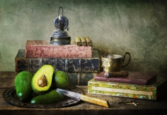 MEGADÁS MINT VÉDŐBUROK