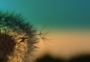 ÁLOM A KÖNNYEDSÉGRŐL