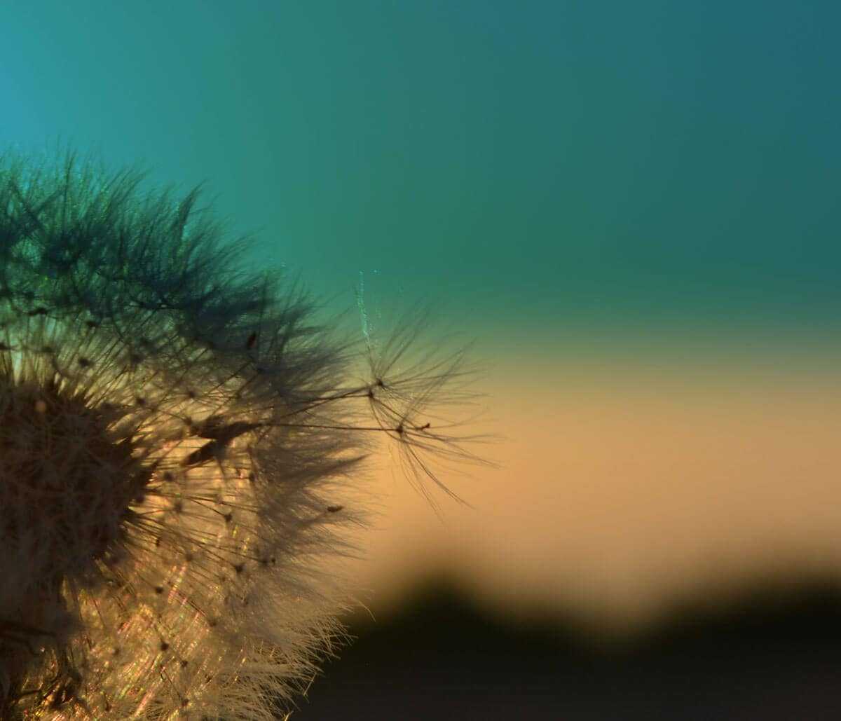 ÁLOM A KÖNNYEDSÉGRŐL