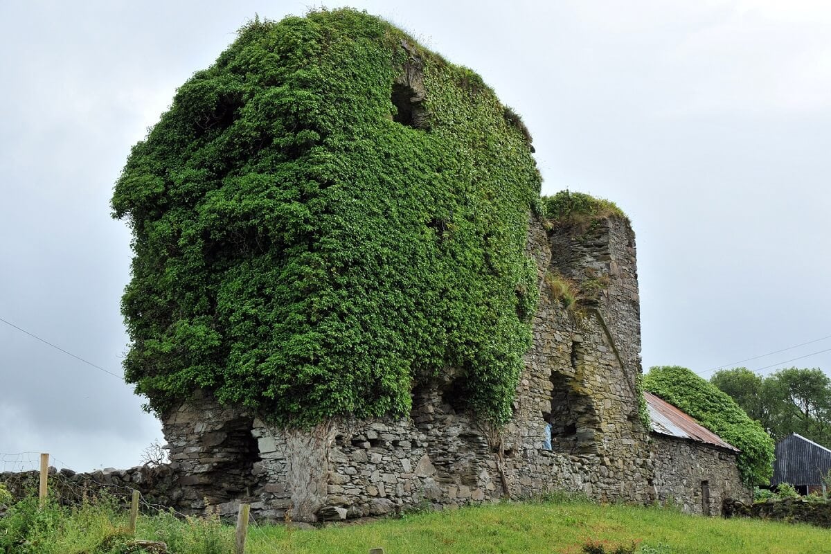 KÖZÉPFÖLDE VÉDELMÉBEN