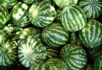 (ÉS GYÖNYÖRŰEN SZÁLLT)